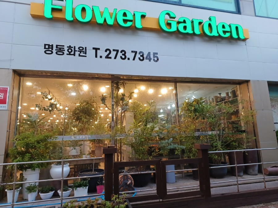 명동2.jpg